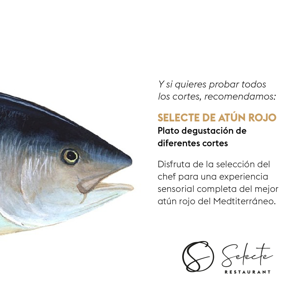 Atún rojo platos